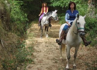hotel Apartamentos Anyos Park + Paseo A Caballo
