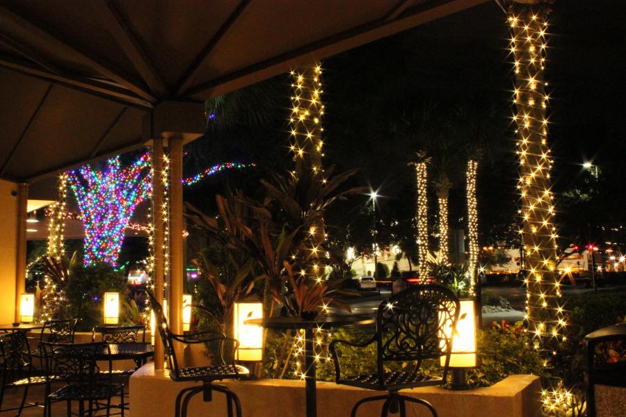 Fotos Hotel Rosen Inn At Pointe Orlando