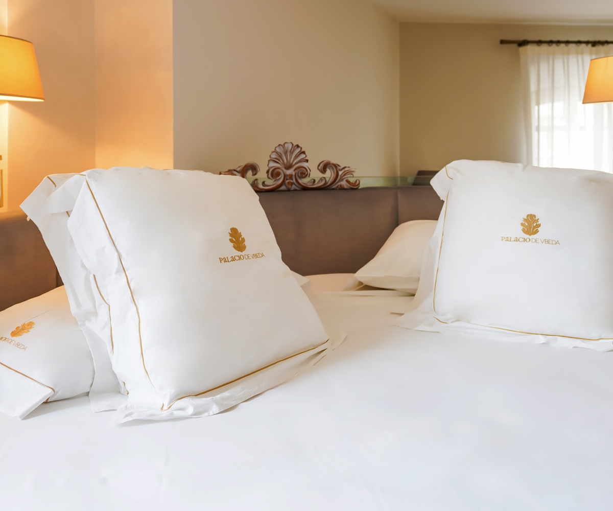 Fotos Hotel Domus Selecta Palacio De Ubeda