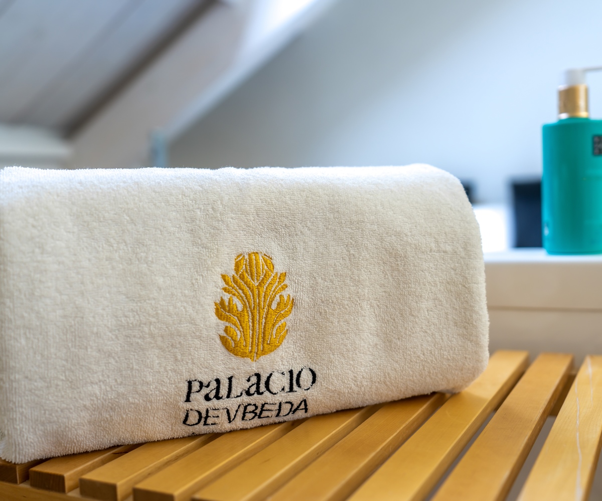 Fotos Hotel Domus Selecta Palacio De Ubeda
