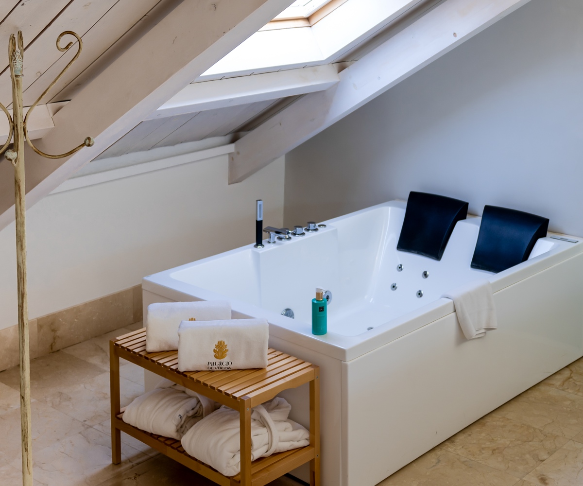 Fotos Hotel Domus Selecta Palacio De Ubeda