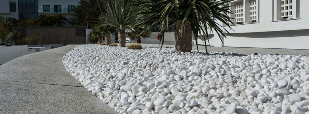 Fotos Hotel Costa Conil By Fuerte Group