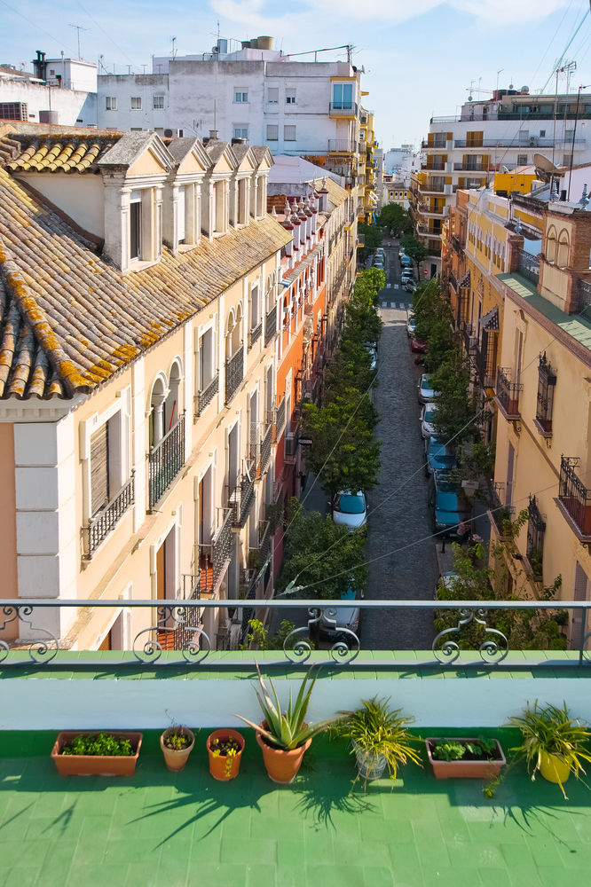 Fotos Hotel Madrid Sevilla