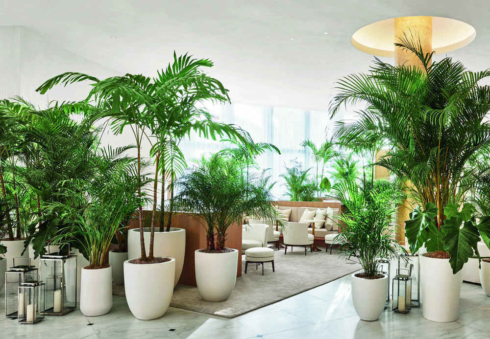 Fotos Hotel The Miami Beach Edition