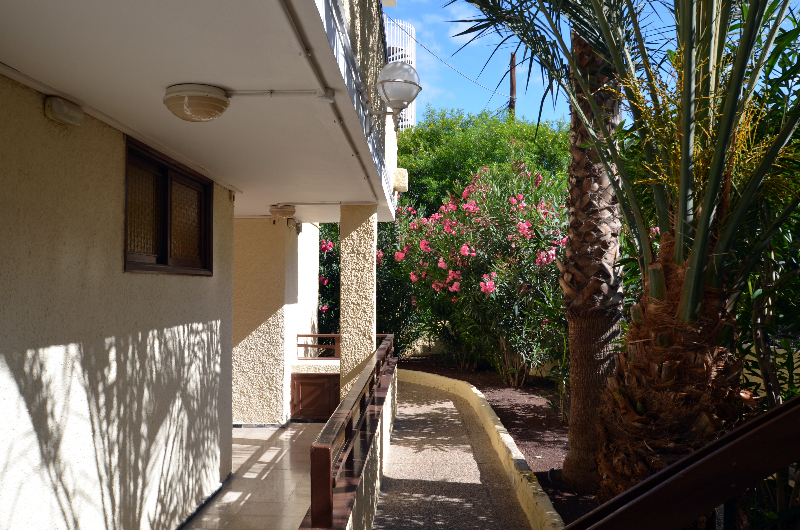 apartamentos Los Juncos I