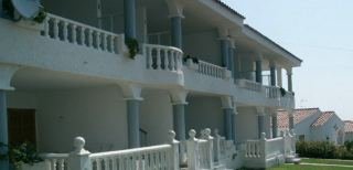 standard Palma Blanca