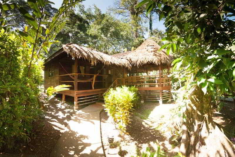 Fotos Hotel Cariblue Beach & Jungle Resort