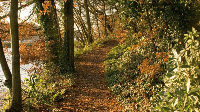 hotel rural Macdonald Kilhey Court & Spa