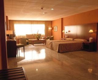 hotel Triunfo Granada Sur