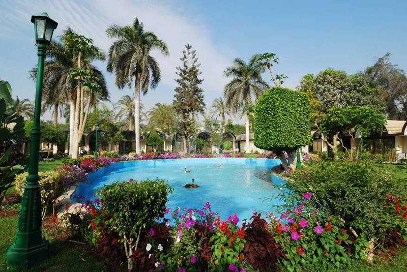 hotel The Oasis