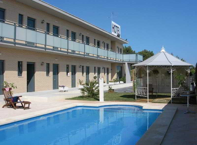 standard Campo Olivar