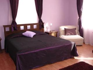 hotel Vidin
