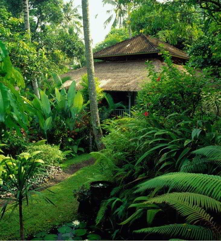 Fotos Hotel Novus Taman Bebek