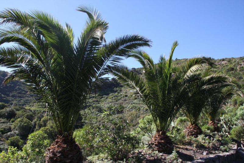 agroturismo Las Casas Del Chorro