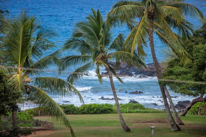 Fotos Hotel Maui Parkshore