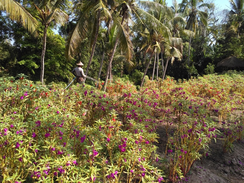 hotel Royal Tulip Visesa Ubud