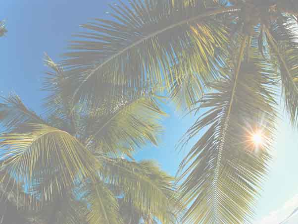 Ofertas Hoteles Agosto 2023